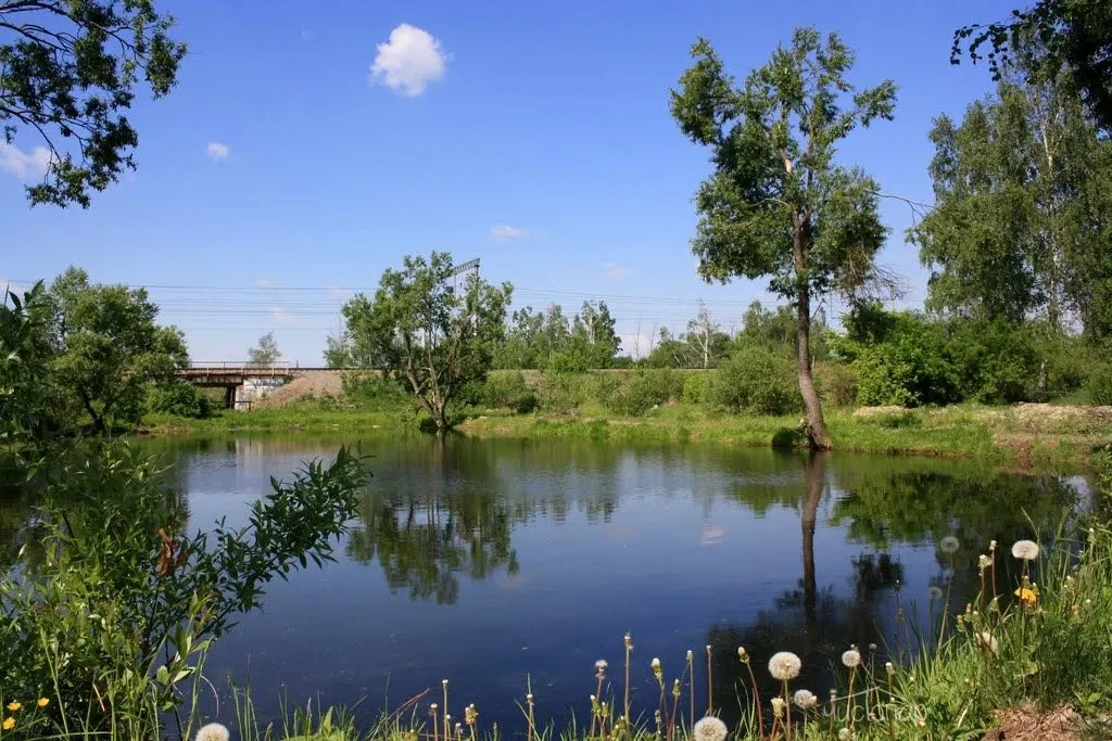 Загородный клуб LaFa - фотография Загородный клуб LaFa