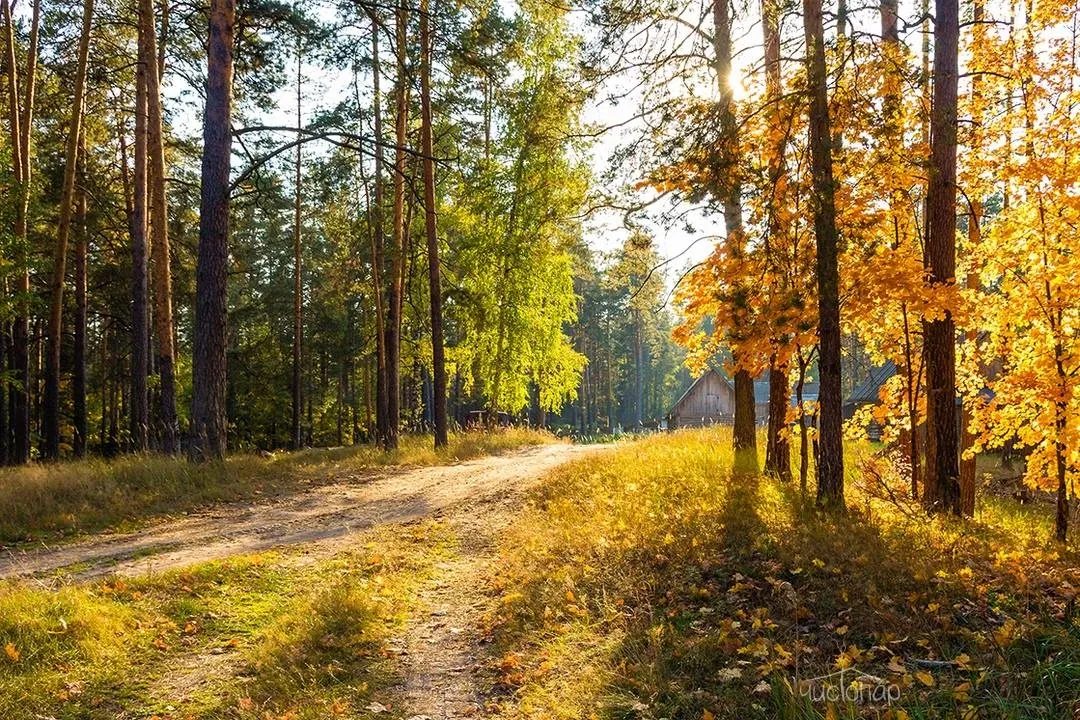 Загородный клуб LaFa - фотография Загородный клуб LaFa