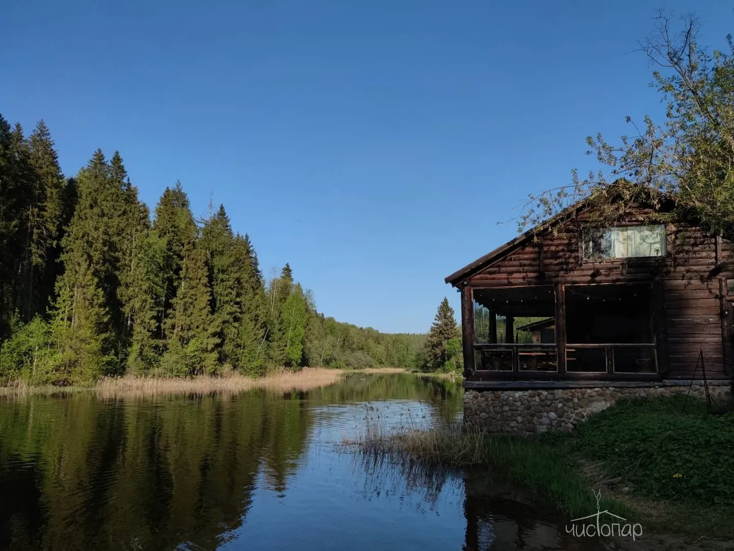 ЭтноуСАДьба ЗдРАвоМыслящих - фотография ЭтноуСАДьба ЗдРАвоМыслящих