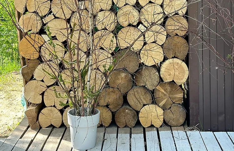 База отдыха «Загорье» - фото 38