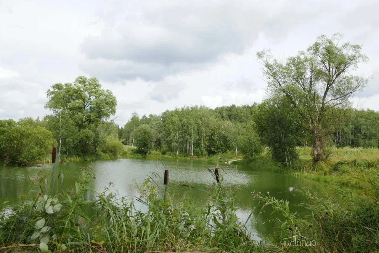 Эко-отель Чехов #APi - фото 36