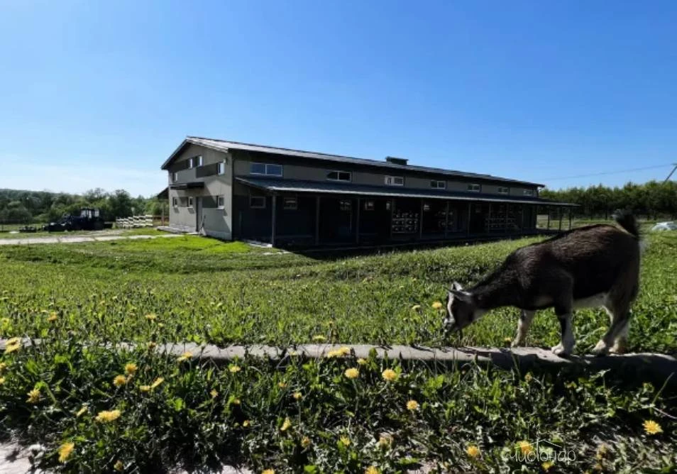 Эко-отель Чехов #APi - фото 39