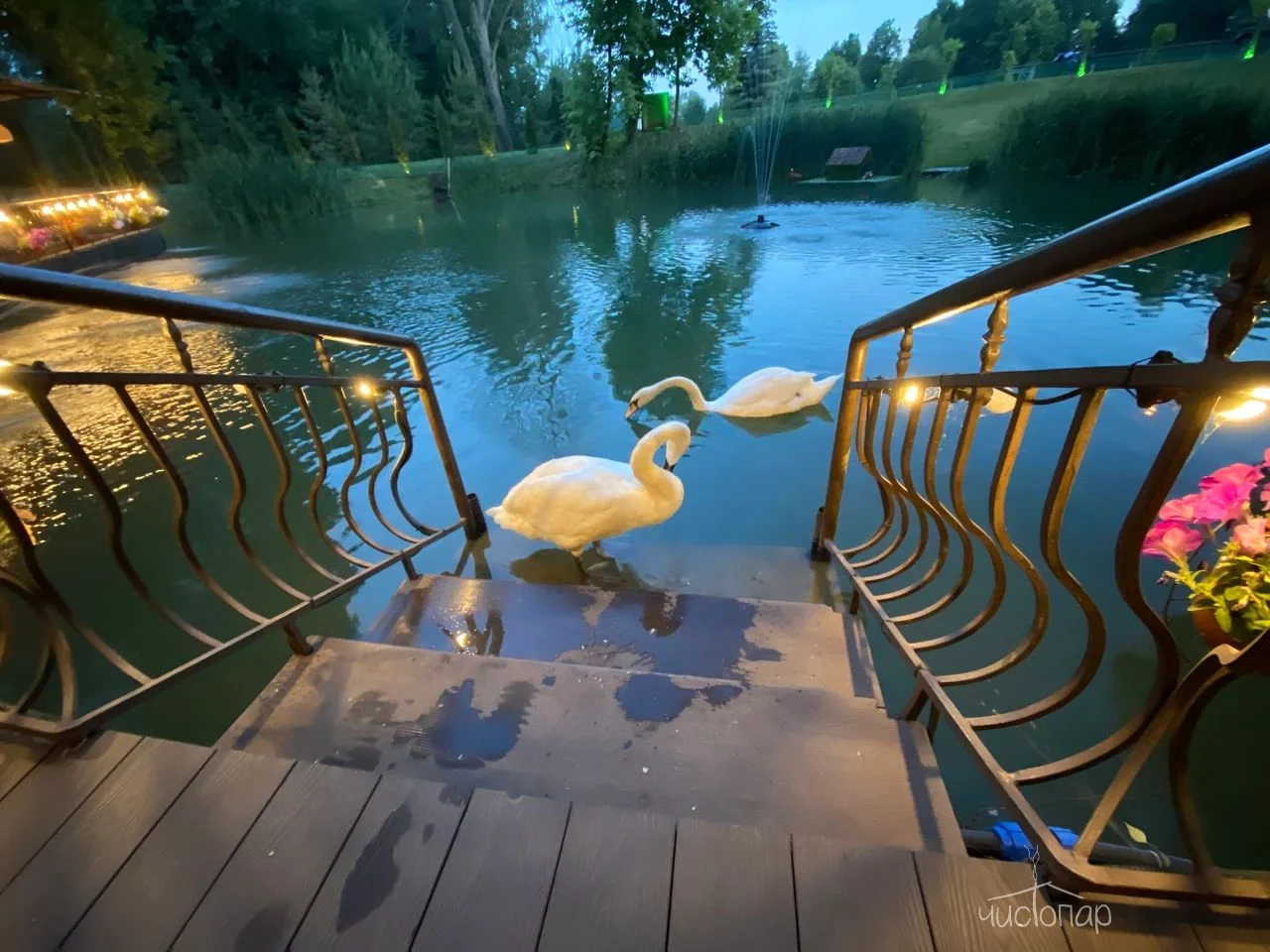 Загородный клуб Greenclub Family - фото 25