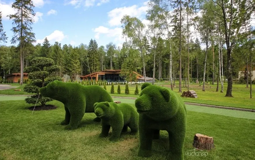 Загородный отель LES Art Resort - фотография Загородный отель LES Art Resort