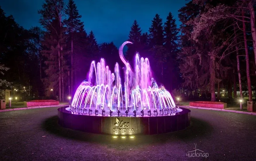 Загородный отель LES Art Resort - фотография Загородный отель LES Art Resort