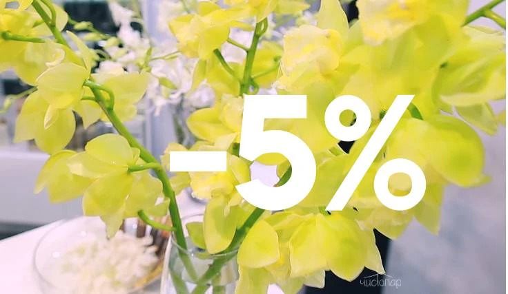 Только для новых клиентов WELLNESS клуба «VITALITA» на любые услуги 5% СПА, косметологии и бьюти процедуры