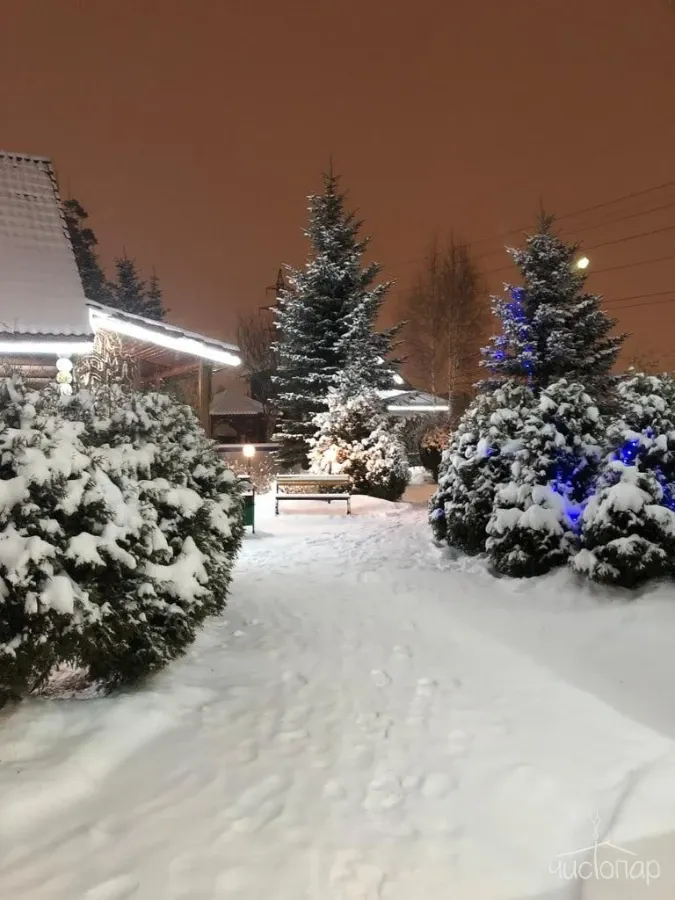 tariff Баня «Лесной домик»