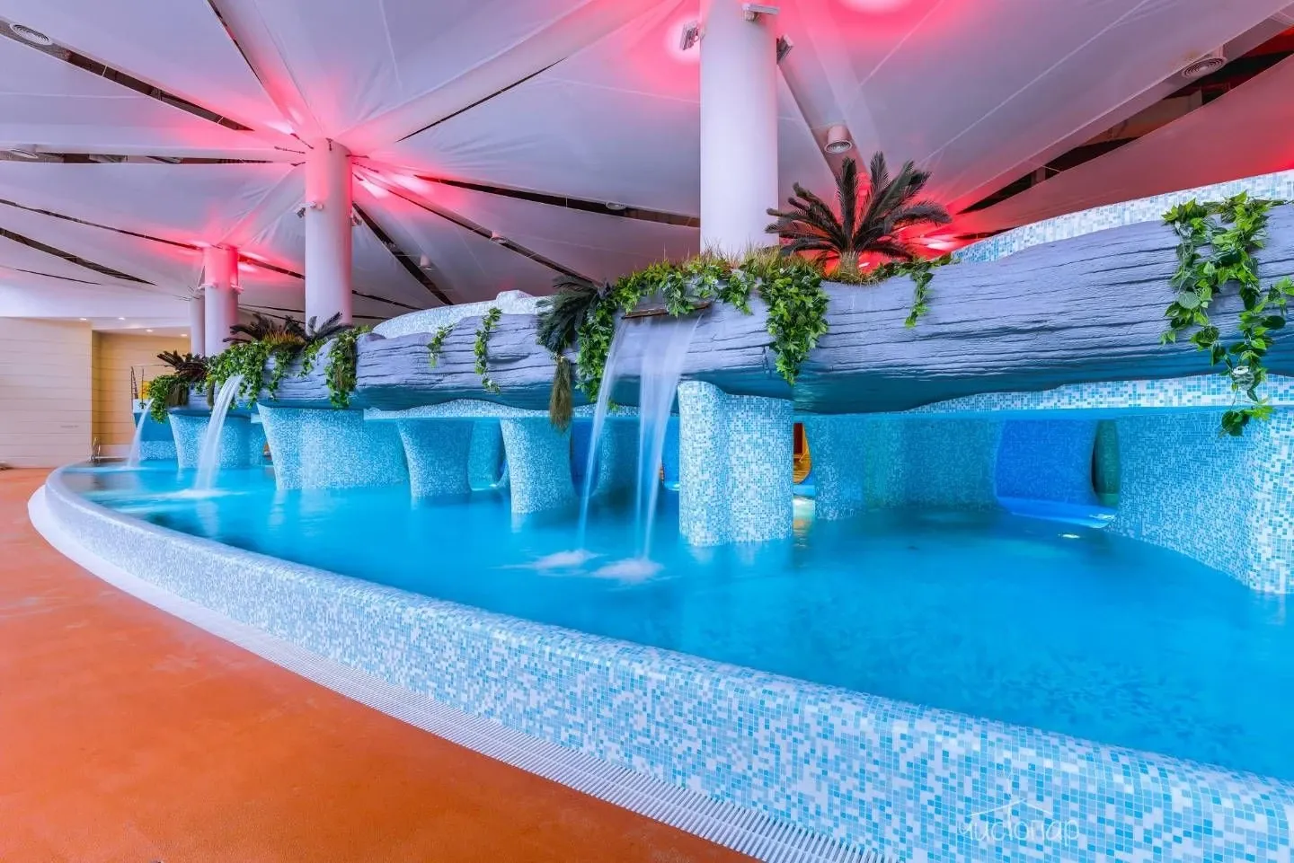 tariff SPA взрослый