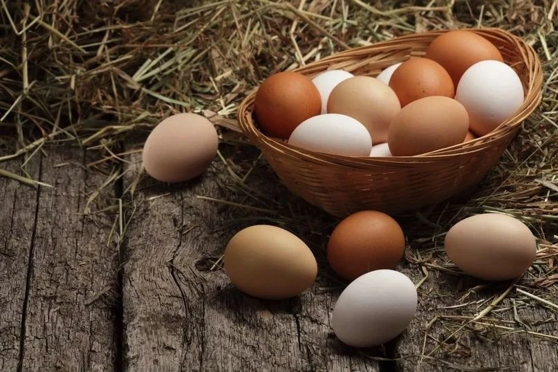 tariff Продукты сельского хозяйства