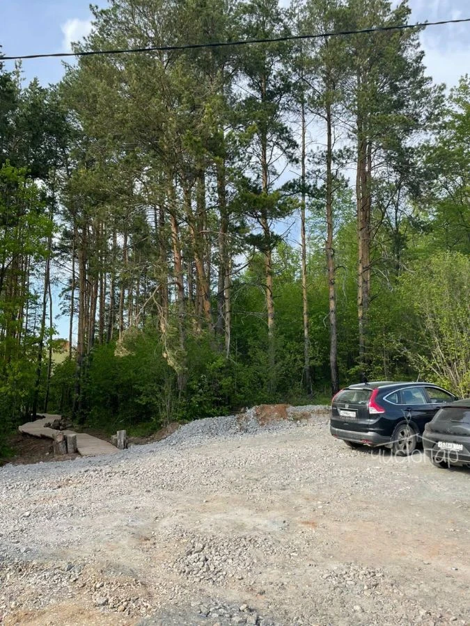 FoRest - фото 21