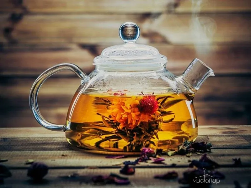 Fusion SPA&Relax