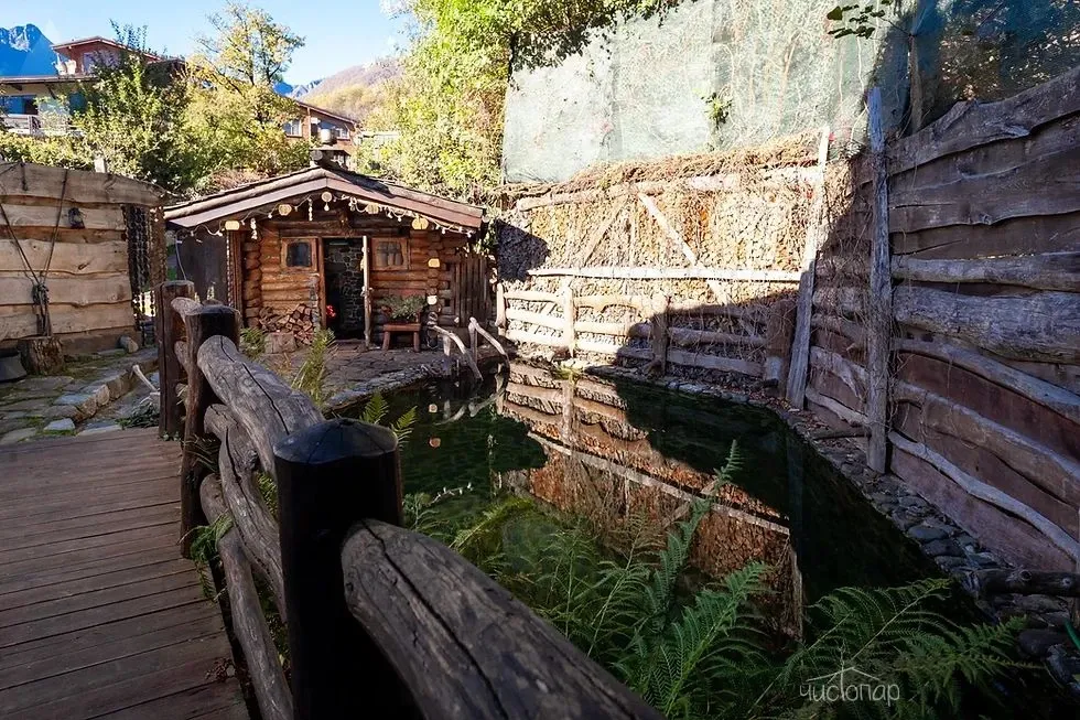 ВЕЛЬЯ - фотография ВЕЛЬЯ