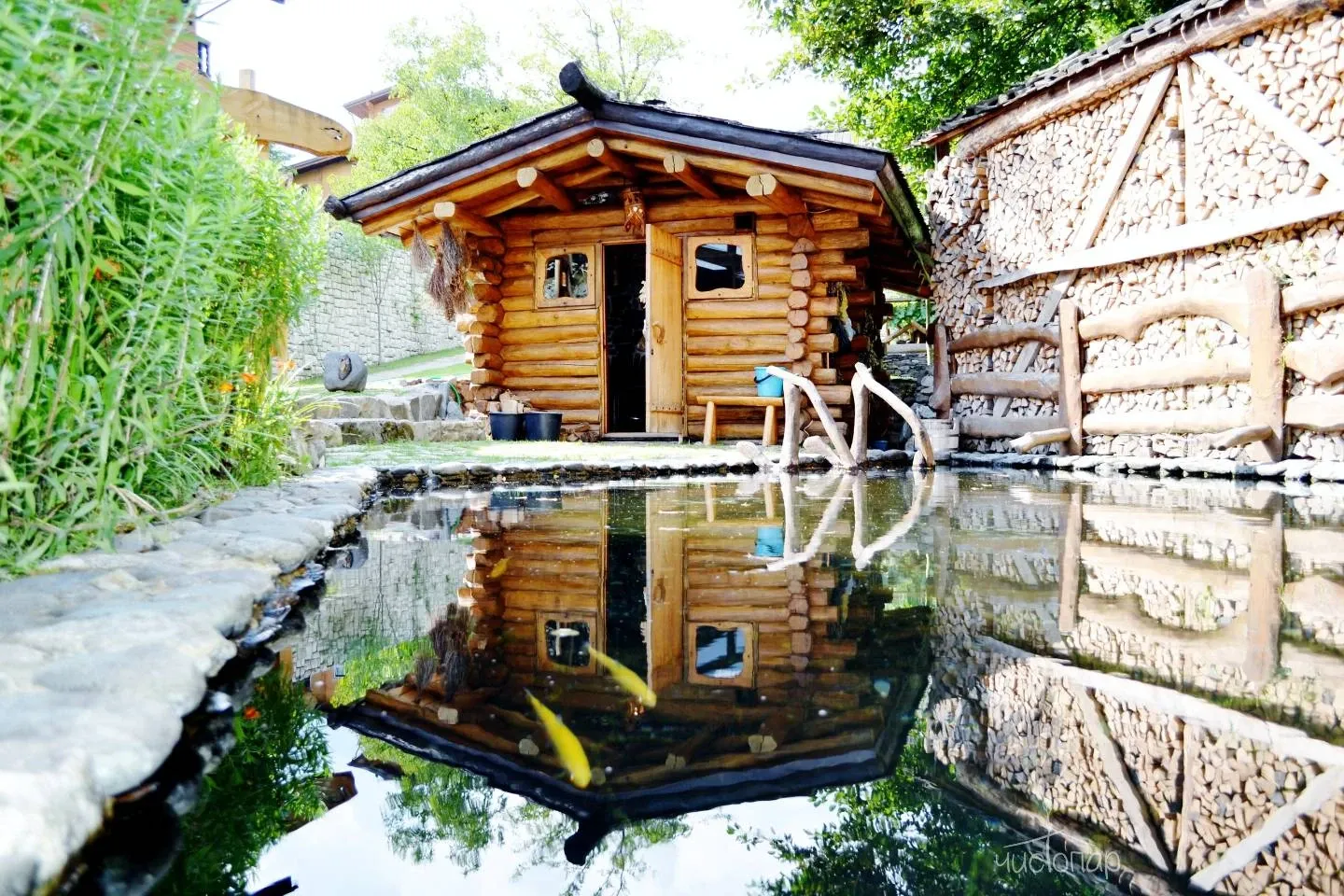 ВЕЛЬЯ - фотография ВЕЛЬЯ