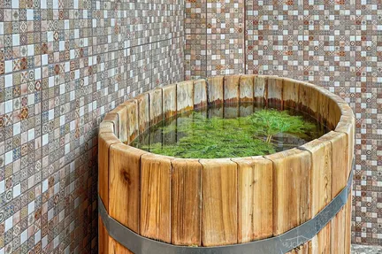 Баня "Деревенька" - фото 17