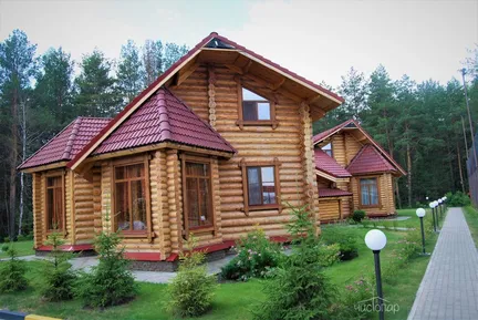 Ирбис - фото 12