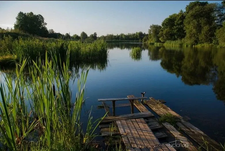 Polyana Luxury Village - фотография Polyana Luxury Village