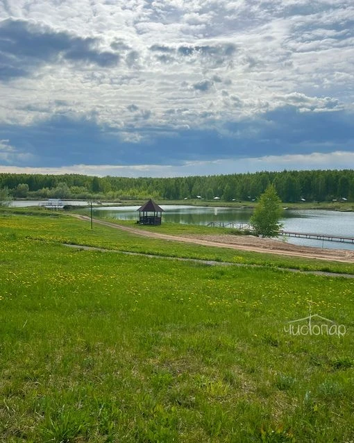 Славная вотчина - фото 13