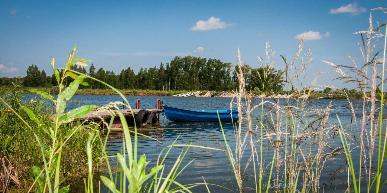 Славная вотчина - фото 20