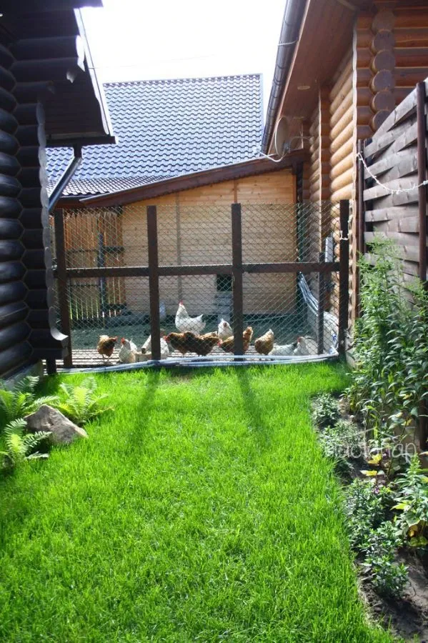 Подстепки House - фотография Подстепки House