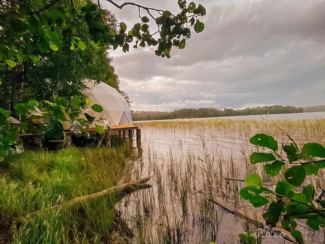 Glamping-парк SkyWoodHills - фотография Glamping-парк SkyWoodHills