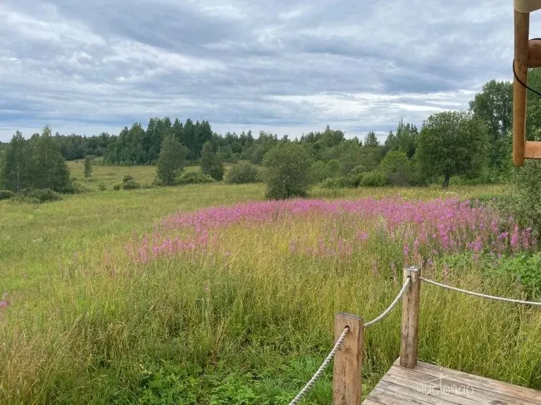 Glamping-парк SkyWoodHills - фотография Glamping-парк SkyWoodHills