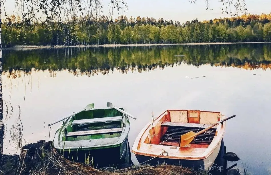 Glamping-парк SkyWoodHills - фотография Glamping-парк SkyWoodHills