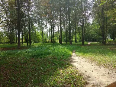 Бобачевская роща - фото 9