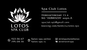 Лотос - фотография Лотос