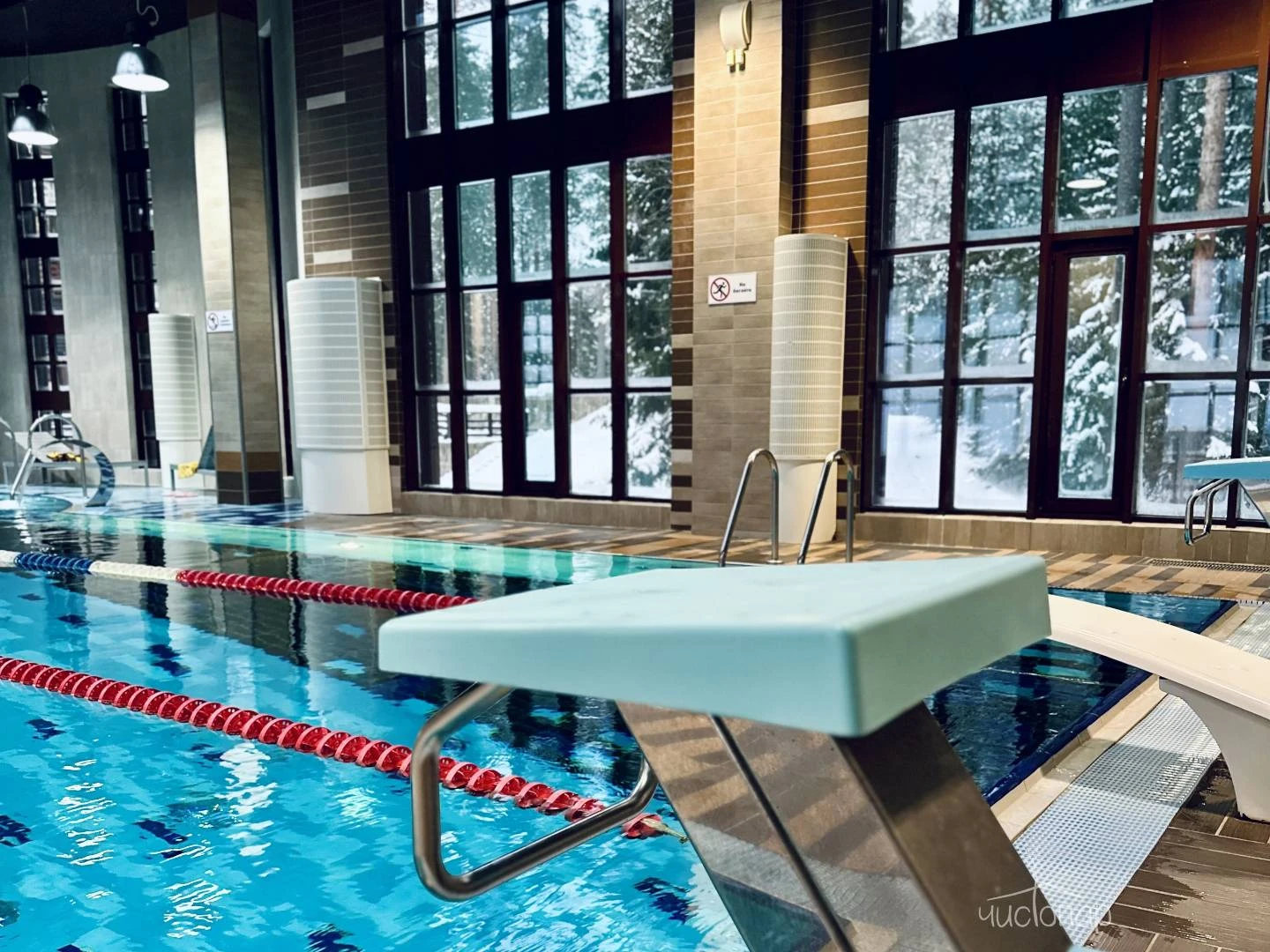 Лесная Рапсодия - фото 33