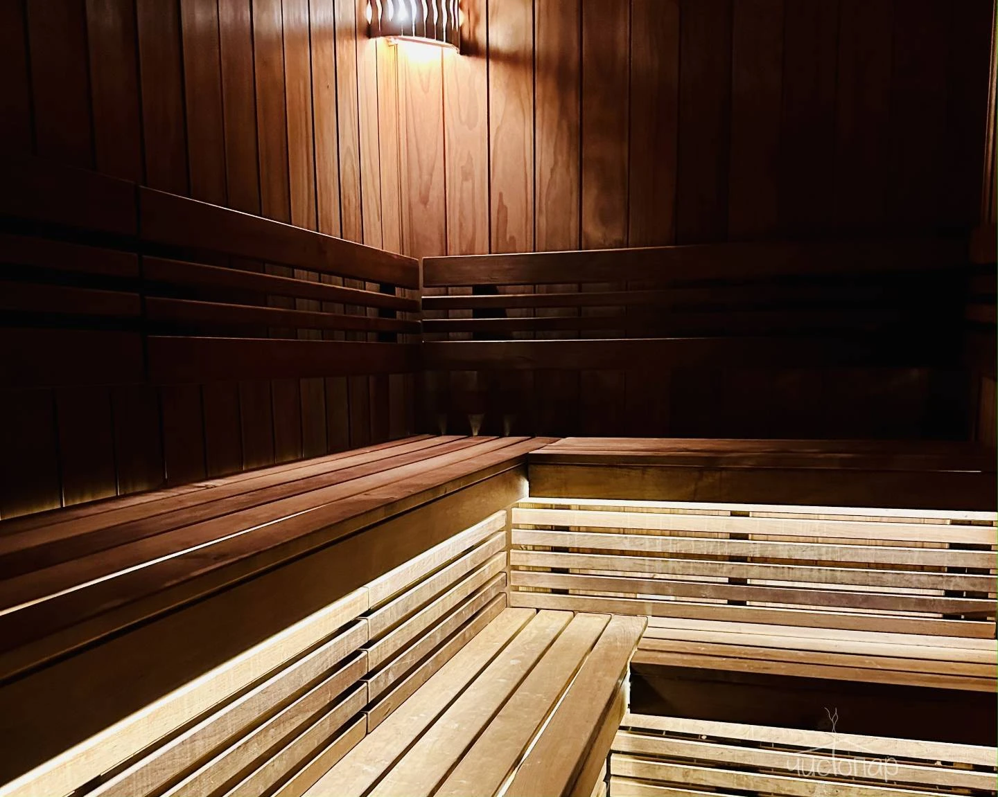 Лесная Рапсодия - фото 34