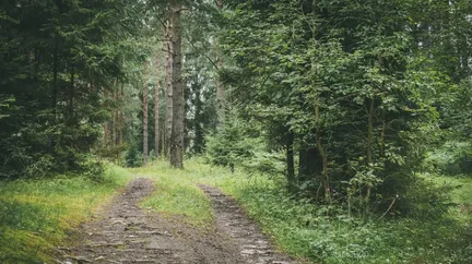 База отдыха "Пикник" поселок Шапки - фото 50