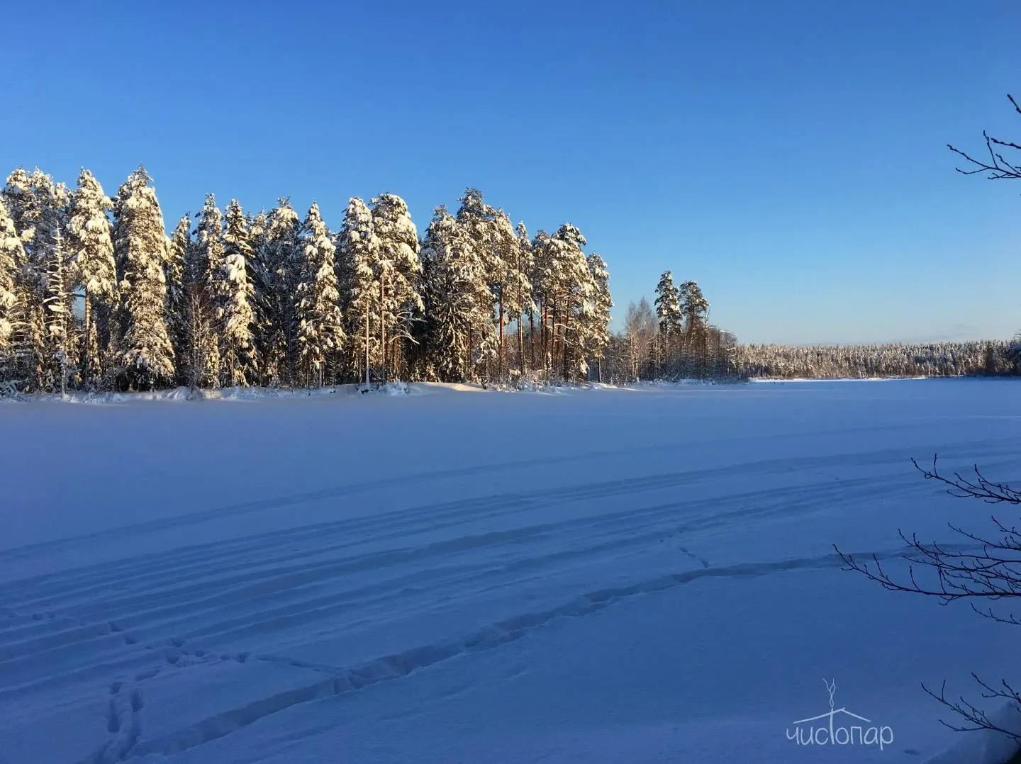 База отдыха "Лесная Обитель" - фотография База отдыха "Лесная Обитель"