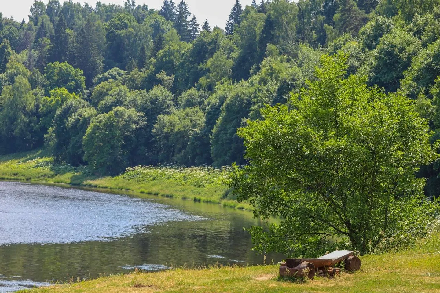 tariff Сеанс русской бани с сибирским чаном