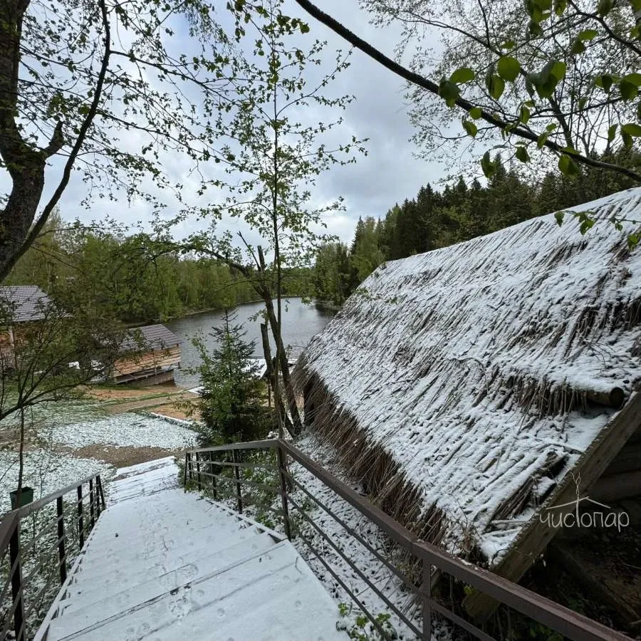 ЭтноуСАДьба ЗдРАвоМыслящих - фотография ЭтноуСАДьба ЗдРАвоМыслящих