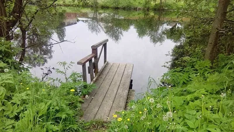 База отдыха Терехунь - фотография База отдыха Терехунь
