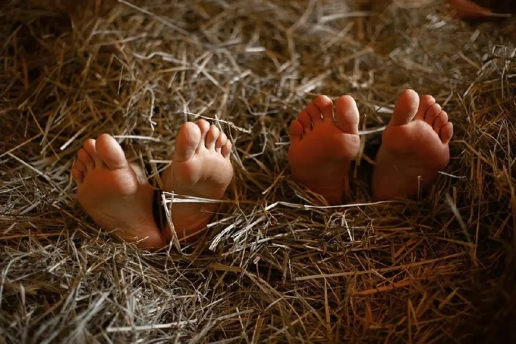 tariff Знакомство с правильной баней