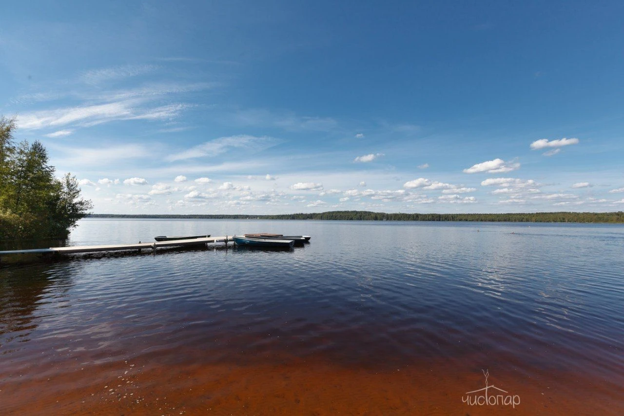 Лесная Рапсодия - фото 2