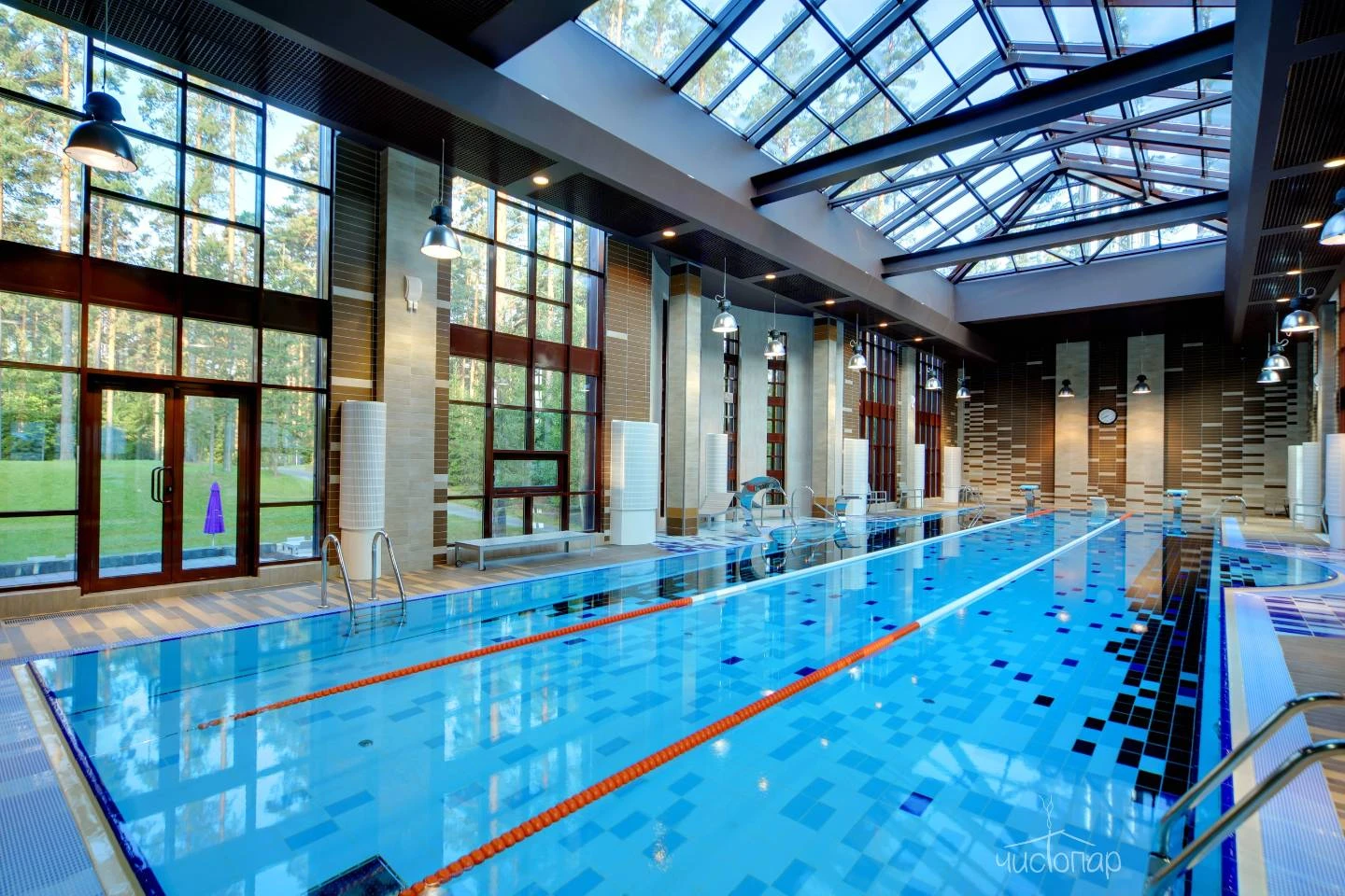 Лесная Рапсодия - фото 4