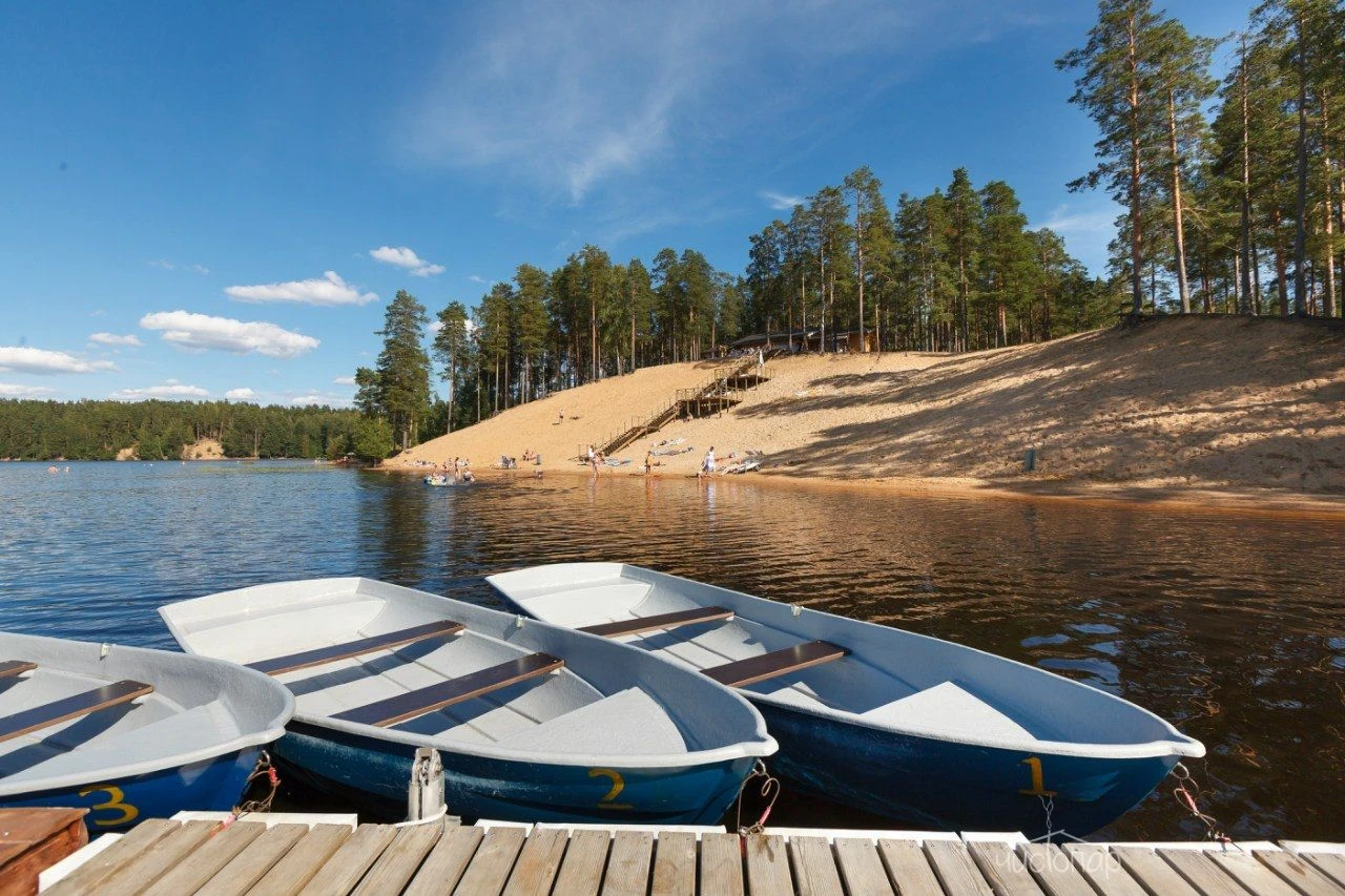 Лесная Рапсодия - фото 9