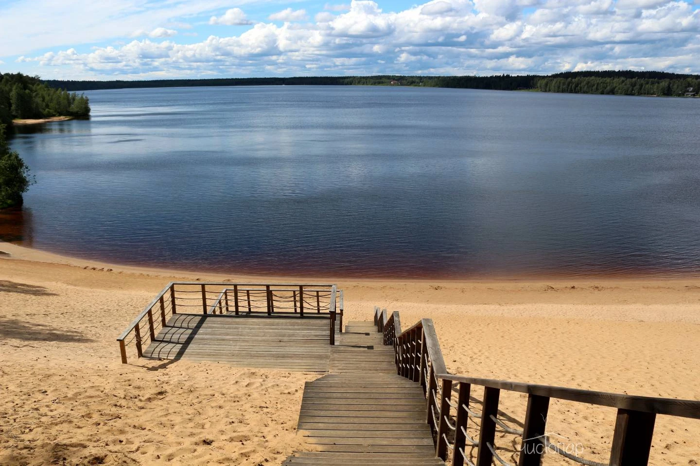 Лесная Рапсодия - фото 11