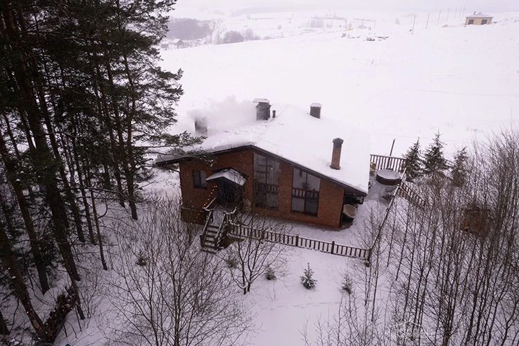 FoRest - фото 18