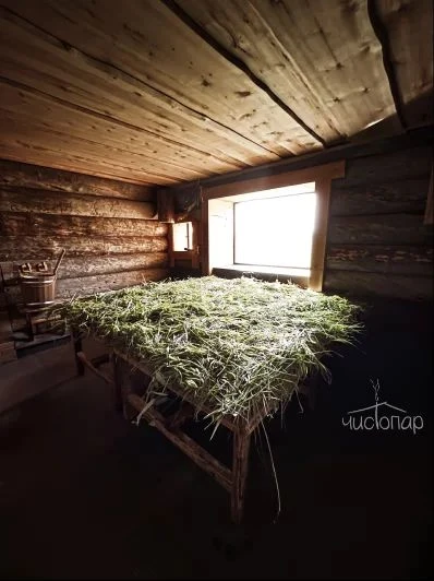 FoRest - фото 13