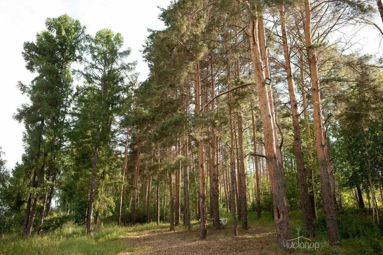 Банный комплекс "SOKOLKI" - фотография Банный комплекс "SOKOLKI"