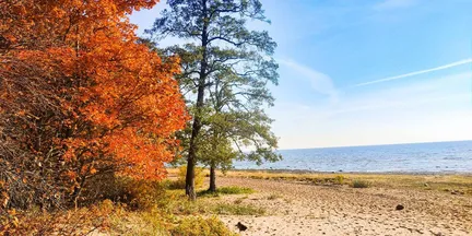 Gelios Hotel - фото 46