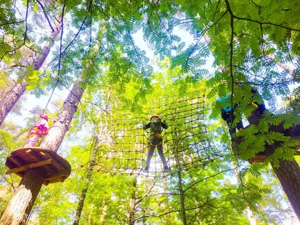 Gelios Hotel - фото 50