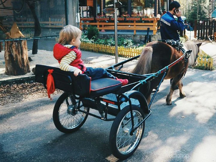 Загородный клуб "Орех" - фото 37