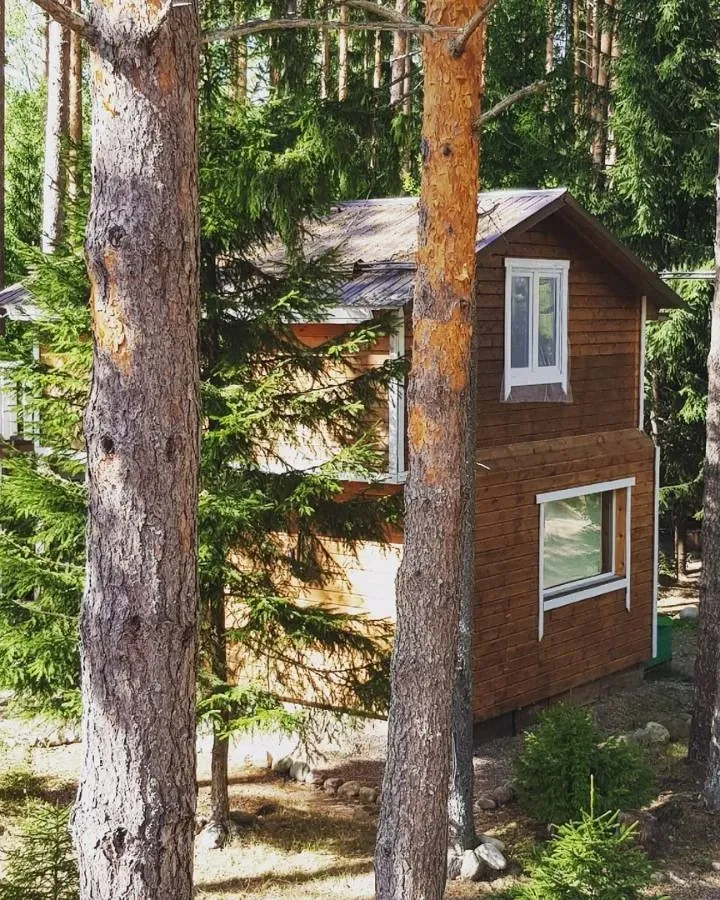 tariff Дом пряник