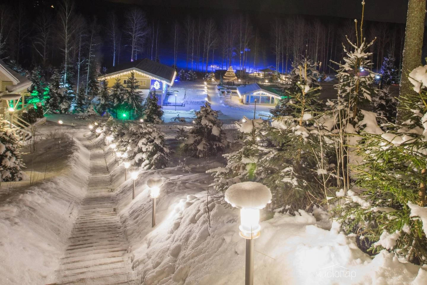 Русская Красавица - фото 39