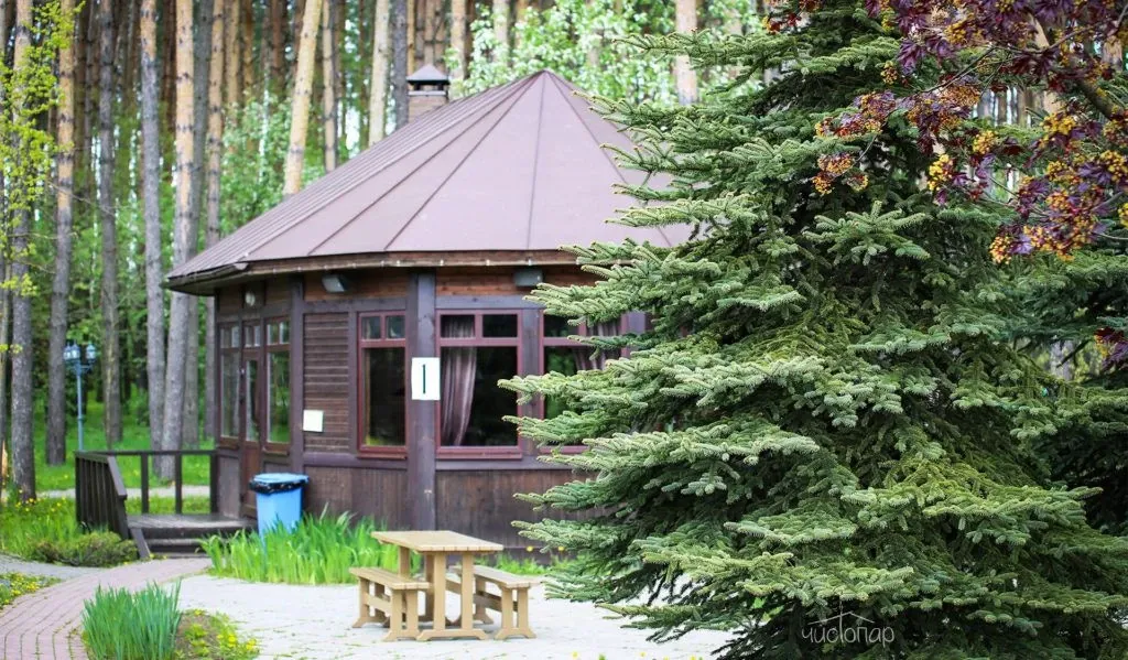 Клуб загородного отдыха «АлександрЪ» - фотография Клуб загородного отдыха «АлександрЪ»