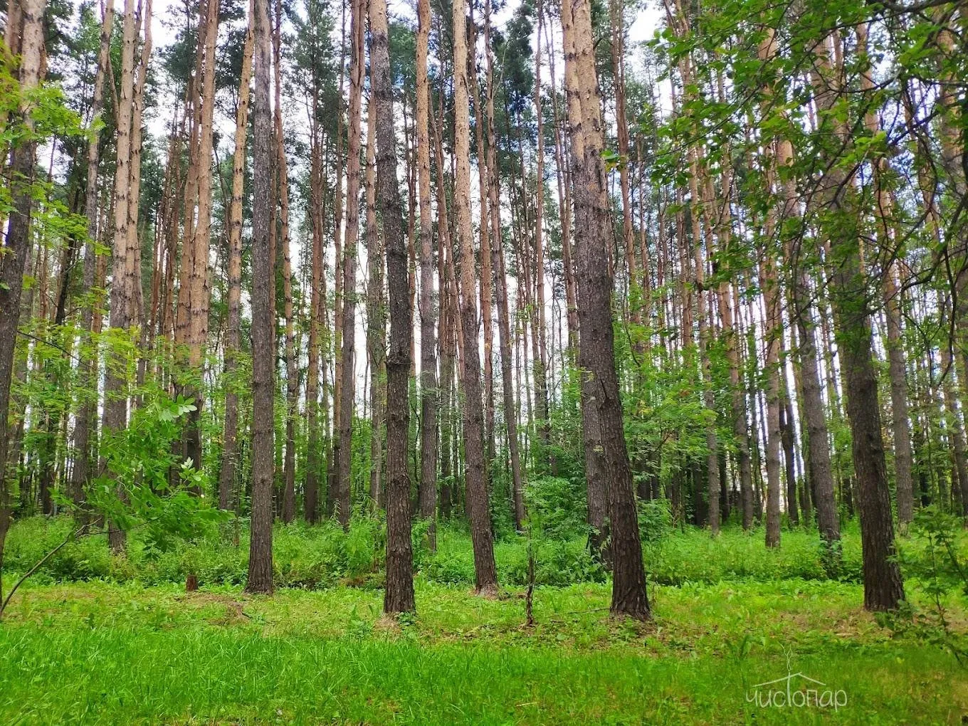 Клуб загородного отдыха «АлександрЪ» - фотография Клуб загородного отдыха «АлександрЪ»